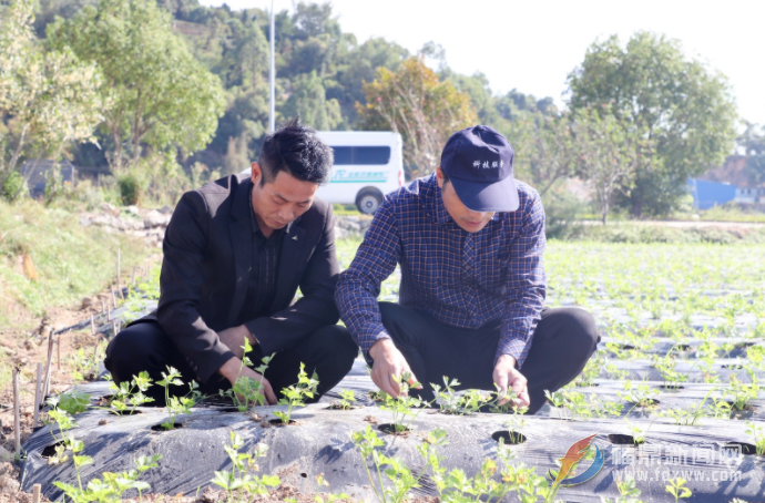 党的二十大报告引发科技特派员热烈反响