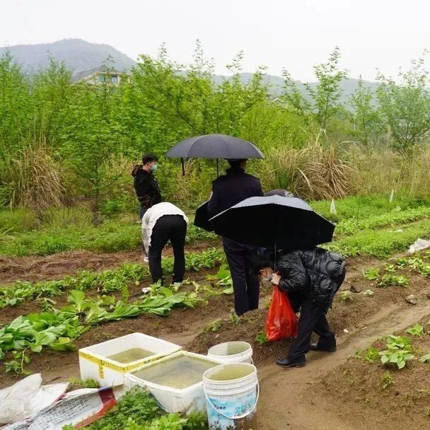 河道边违规圈地种菜？清！